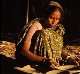 বনানী মাঝি